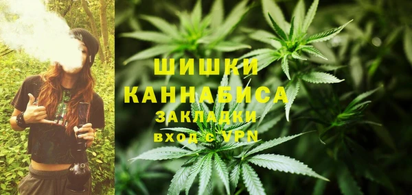 гидра Нефтегорск