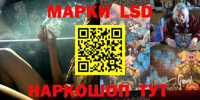 шишки Будённовск