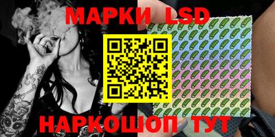 шишки Будённовск