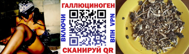 цена наркотик  Звенигород  Псилоцибиновые грибы MAGIC MUSHROOMS 