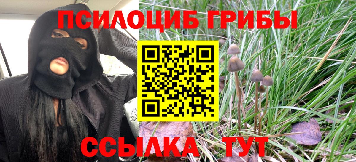Псилоцибиновые грибы мухоморы  Вход с VPN  Звенигород  Галлюциногенные грибы прущие грибы 