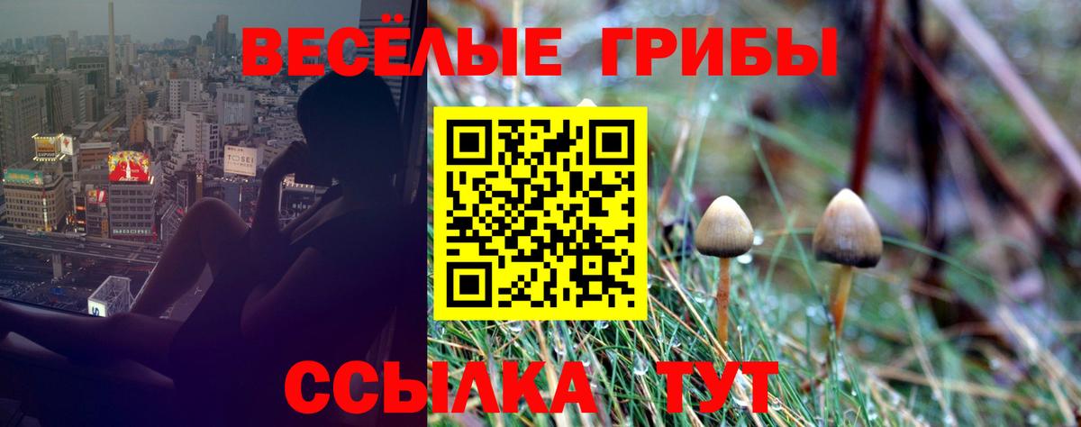 Галлюциногенные грибы Magic Shrooms Звенигород